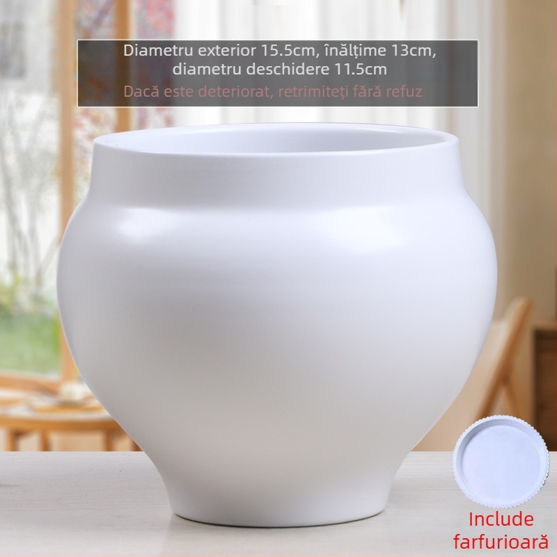 Ghiveci ceramic în stil Nordic minimalist, pentru decorul casei, pe podea