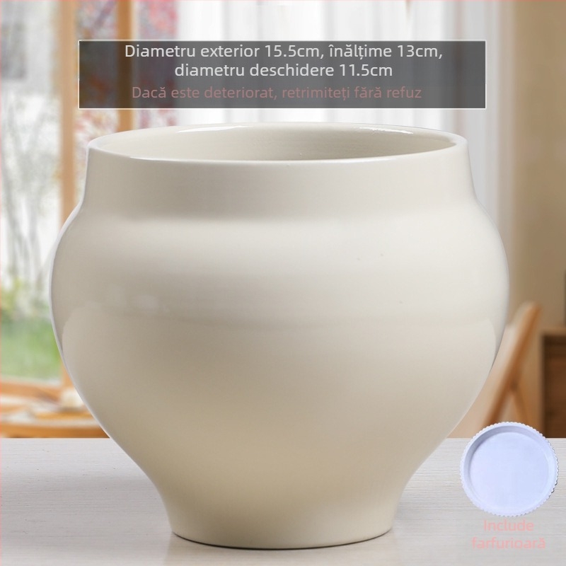Ghiveci ceramic în stil Nordic minimalist, pentru decorul casei, pe podea