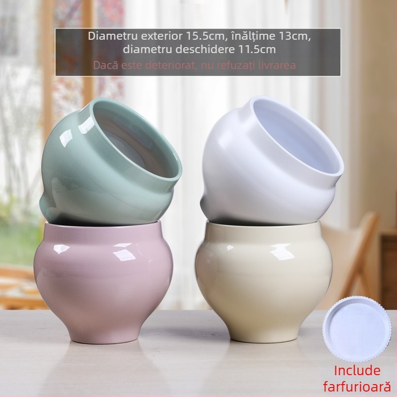 Ghiveci ceramic în stil Nordic minimalist, pentru decorul casei, pe podea