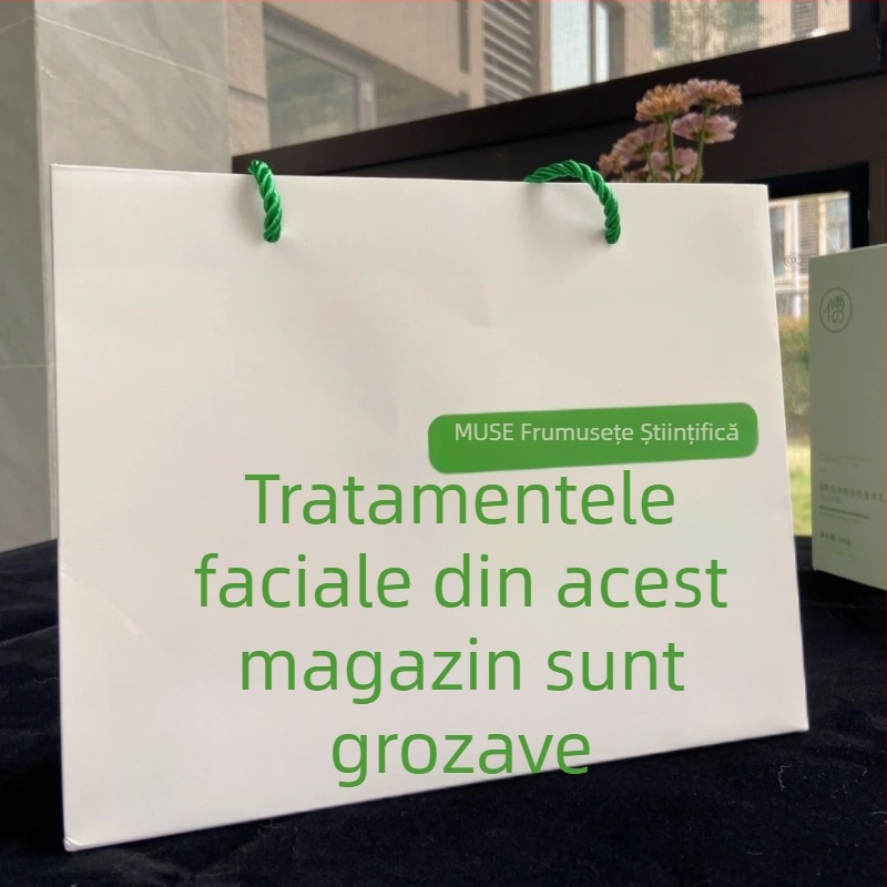 Geantă de hârtie personalizată în stil INS, albă, din carton cu mâneri, pungă de ambalaj pentru cadouri