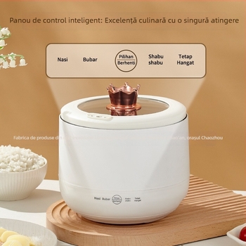 Găzitor electric mini pentru două persoane, compact, multifuncțional pentru casă și cămin studențesc, cu opțiuni pentru supă și terci, funcții grill și shabu-shabu