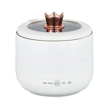 Găzitor electric mini pentru două persoane, compact, multifuncțional pentru casă și cămin studențesc, cu opțiuni pentru supă și terci, funcții grill și shabu-shabu