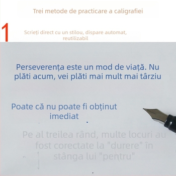 Siyuan 1-Copie de exerciții pentru adulți: practică de scriere în stil normal, semi-cursiv și cursiv, cu stilou dur