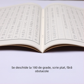 Colecția Sutra Vieții Infinite: Caiet de exerciții pentru scriere, copiere în stil tradițional vertical, pagini de trasare