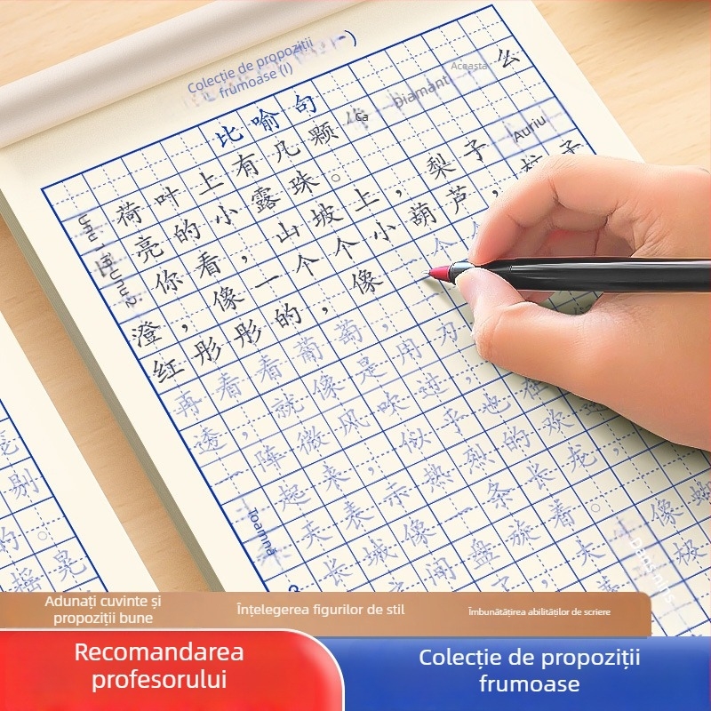 Right World Caligrafie: Set de caiete de exerciții pentru practică — propoziții frumoase zilnice și colecții de cuvinte pentru clasele 3–6