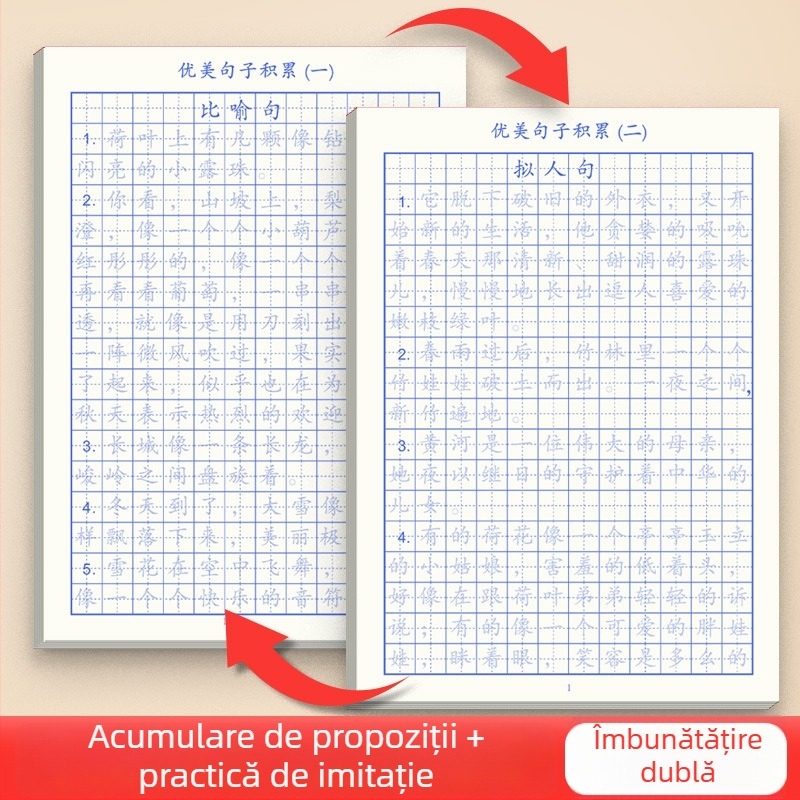 Right World Caligrafie: Set de caiete de exerciții pentru practică — propoziții frumoase zilnice și colecții de cuvinte pentru clasele 3–6
