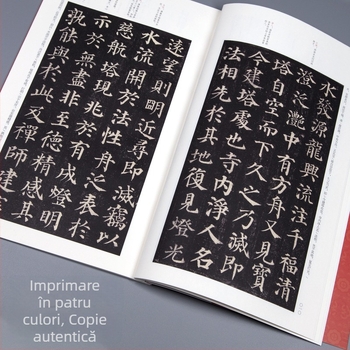 Colecție clasică completă: Caiet de caligrafie Yan Zhenqing — Duobao Pagoda Stele, originale inscripții din dinastiile chineze, Scriere cu caractere regulare