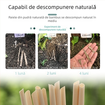 Paie PLA, de unică folosință, ambalate individual, biodegradabile, pentru băuturi, sucuri și ceai cu lapte.
