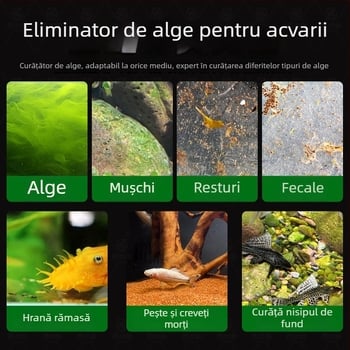 Pești curățători vii pentru acvarii de apă dulce – curăță algele și deșeurile