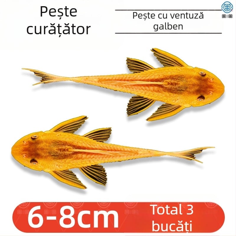 Pești curățători vii pentru acvarii de apă dulce – curăță algele și deșeurile