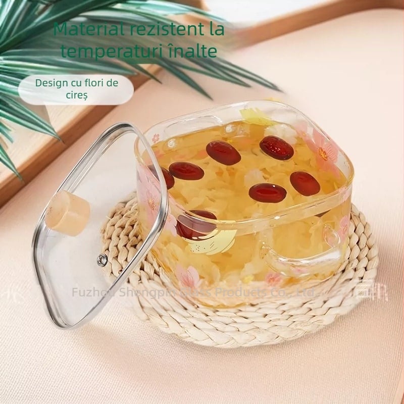 Oală din borosilicat cu două mânere, pentru plită electrică ceramică, ideală pentru noodles instant și supă, pătrată, rezistentă la temperaturi înalte