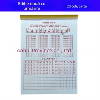 Manual de exerciții pentru numere în contabilitate: numerale chineze majuscule și cifre arabice pentru elevi