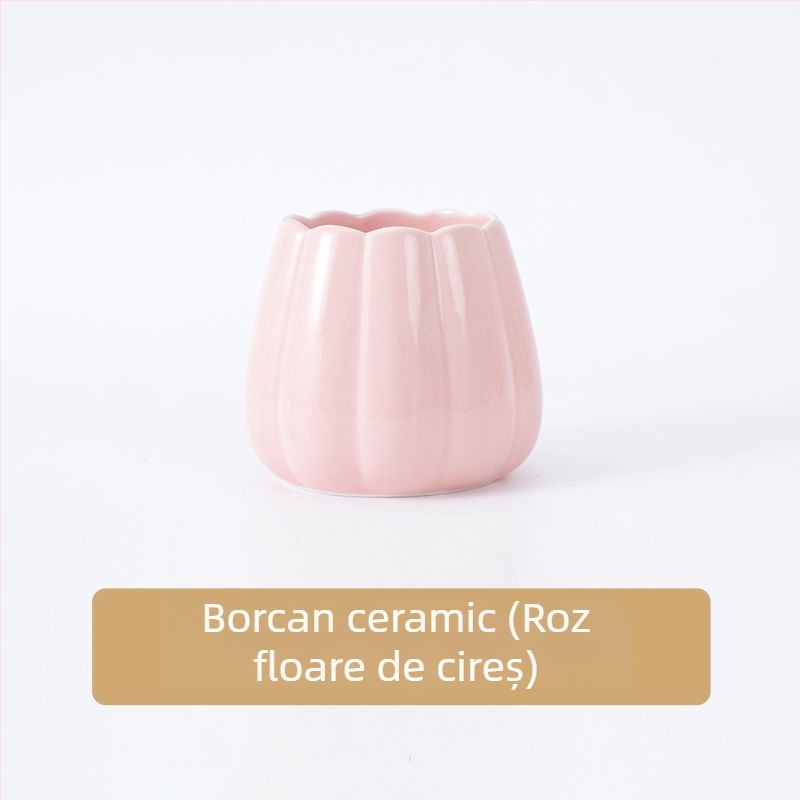 Set de fructe din ceramică, cu furculițe și linguri din oțel inoxidabil, cu recipient de depozitare – bețișoare pentru fructe pentru uz casnic
