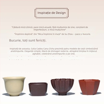 Set de ceai Yixing cu cutie cadou, căni din lut purpuriu lucrate manual, stil Kung Fu, design creativ