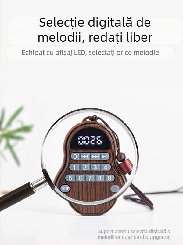 Player muzical portabil, compact, cu baterie reîncărcabilă, pentru uz casnic