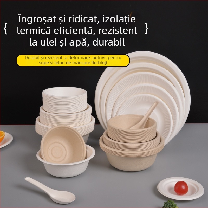 Set de farfurii, bol și bețișoare de unică folosință din hârtie, din pulpă de trestie de zahăr, formă rotundă, capacitate 260–500 ml, design îngroșat