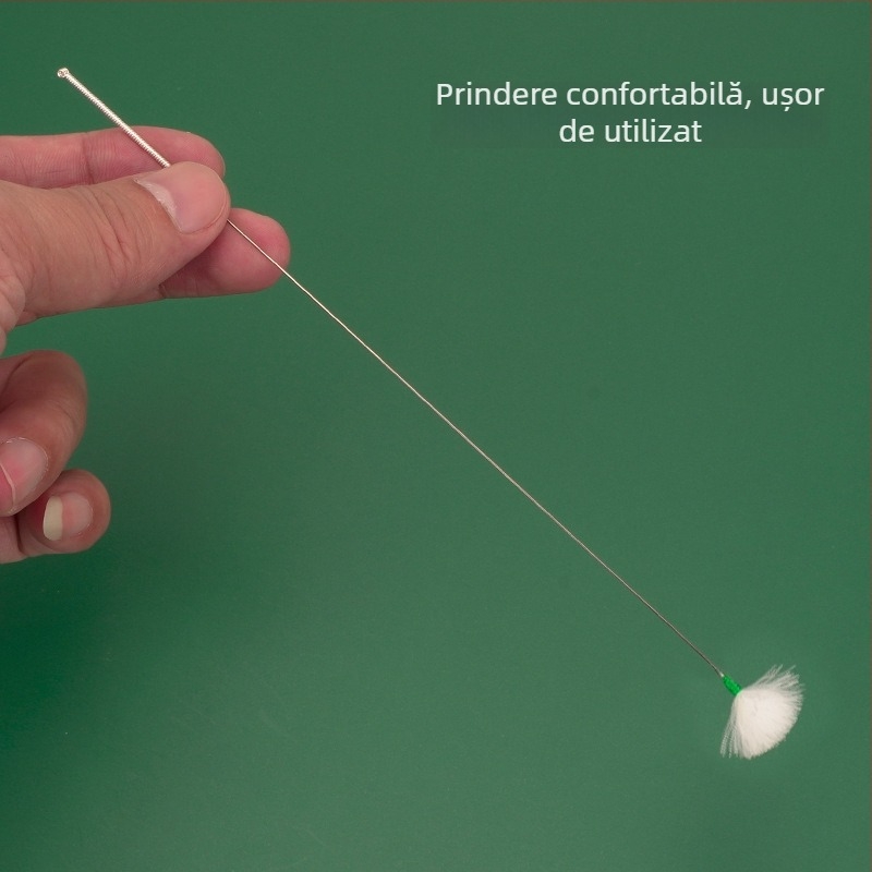 Set de instrumente pentru curățarea urechilor: ac de argint, bețișor cu pene de gâscă, bețișor cu pene de găină, bețișor din coadă de cal și linguriță pentru curățarea urechilor