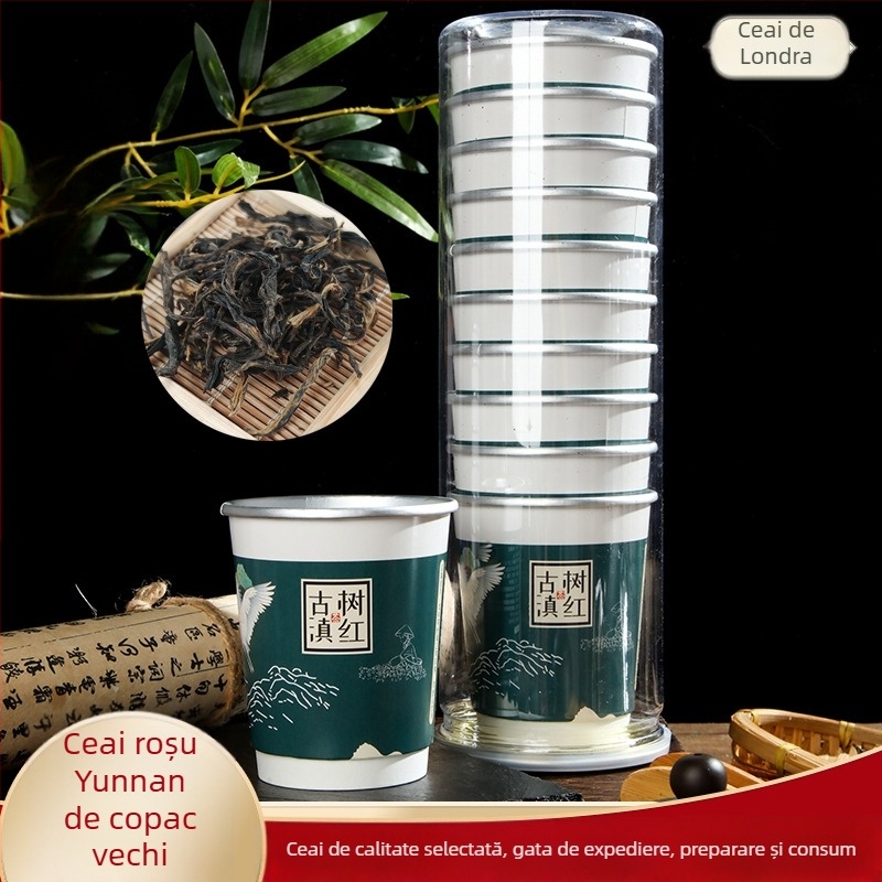 Pahare de hârtie de unică folosință, izolație din folie dublă de aluminiu, cu ceașcă de ceai, 10 bucăți, capacitate 201–300 ml