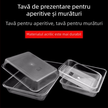 Recipient acrilic dreptunghiular, transparent, pentru gheață și alimente