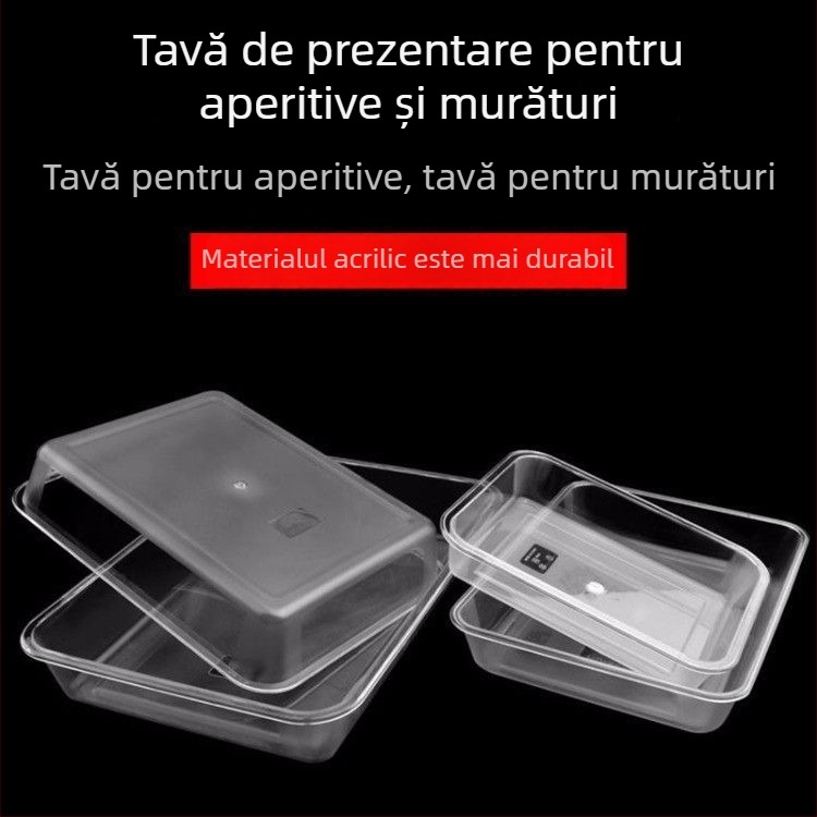 Recipient acrilic dreptunghiular, transparent, pentru gheață și alimente