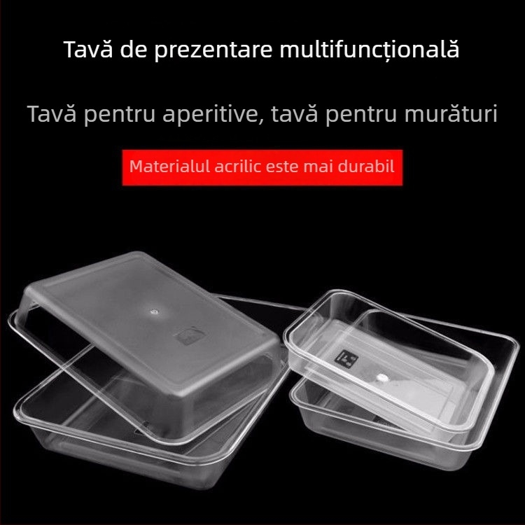 Recipient acrilic dreptunghiular, transparent, pentru gheață și alimente
