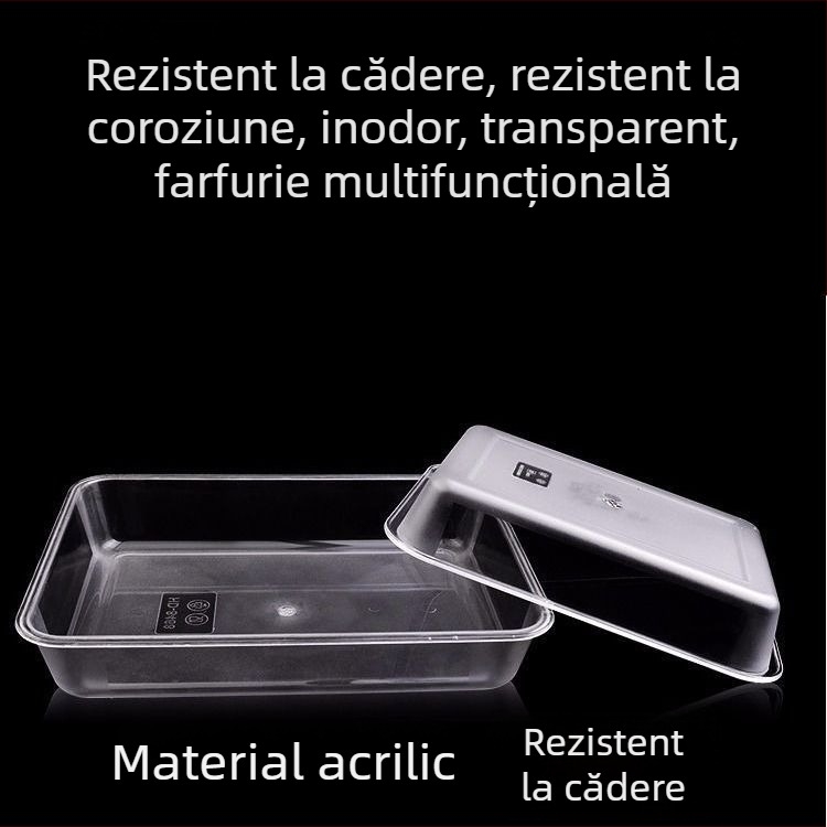 Recipient acrilic dreptunghiular, transparent, pentru gheață și alimente