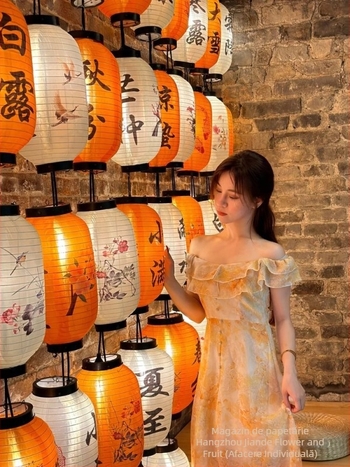 Lanteră în stil antic, seria celor 24 de termene solare – decor suspendat luminos pentru exterior, lanternă de perete rezistentă la apă, stil chinezesc