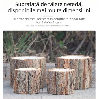 Găleată din scoarță pentru aranjamente florale și suculente – decorațiune de Crăciun și Ziua Profesorului
