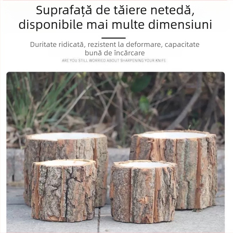 Găleată din scoarță pentru aranjamente florale și suculente – decorațiune de Crăciun și Ziua Profesorului