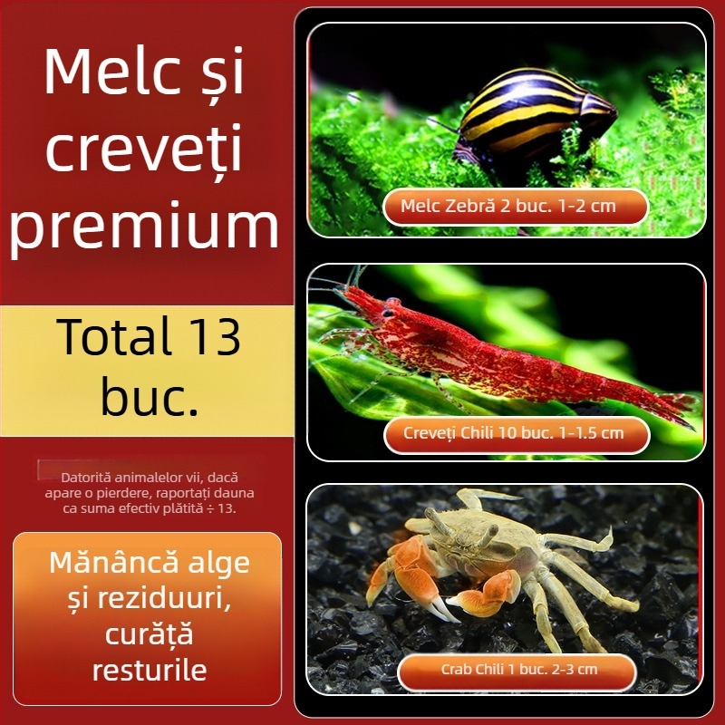Melc de apă dulce Apple pentru acvariu — unealtă de îndepărtare a algelor și curățare a acvariului, melci mici și mari
