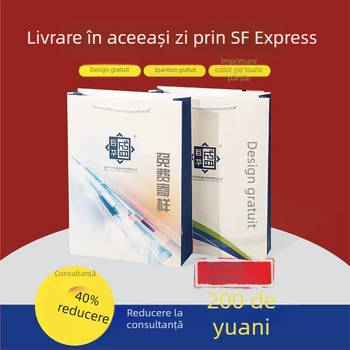 Geantă de hârtie cadou personalizabilă cu imprimare a logo-ului în mai multe culori, construcție întărită pentru magazine de îmbrăcăminte și ceai