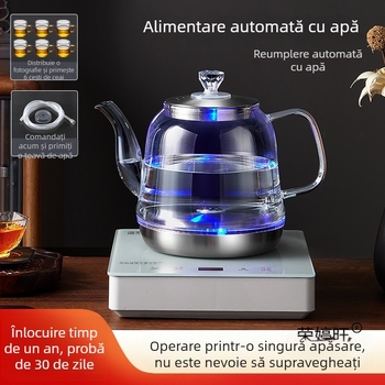 Ceainic electric all-in-one cu control al temperaturii, pentru prepararea ceaiului, cu boiler de apă din sticlă (1 L)