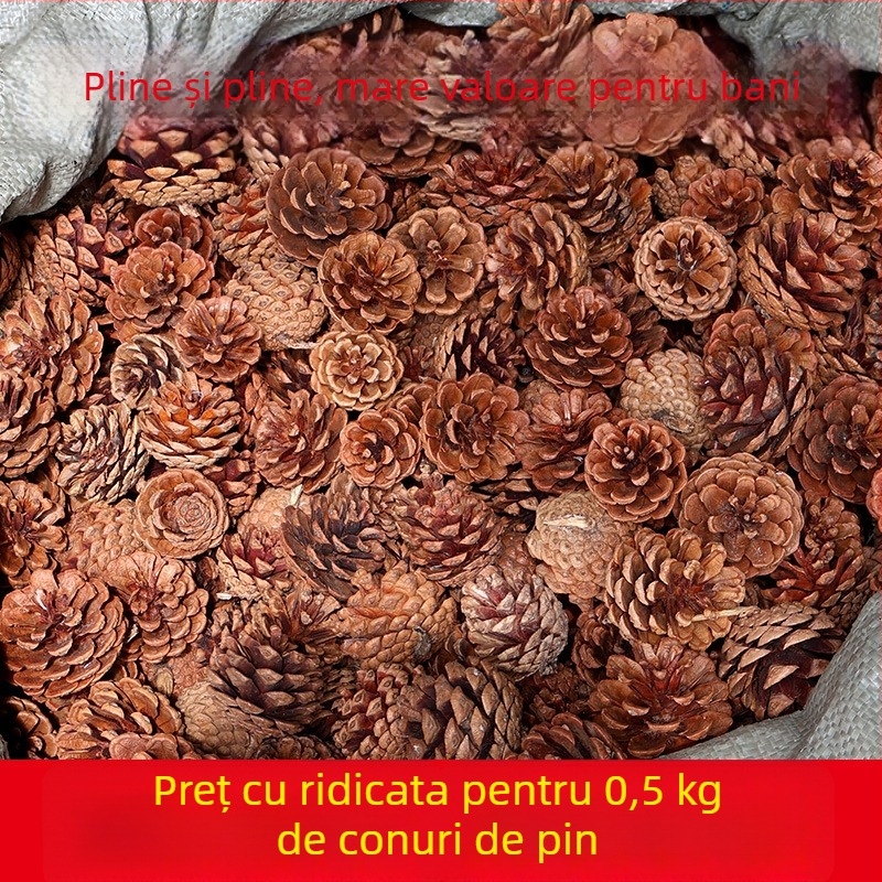 Conuri de pin pentru decor de Crăciun și recuzită fotografică pentru grădiniță