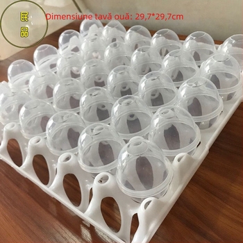 Formă din plastic pentru ouă la abur, etanșă, antiaderentă, rezistentă la temperaturi înalte, de calitate alimentară