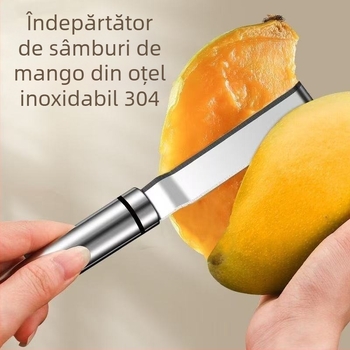Instrument din oțel inoxidabil pentru fructe: decojit mango, tăietor cuburi, îndepărtător de sâmburi, tăietor de fructe și lingură pentru pulpă