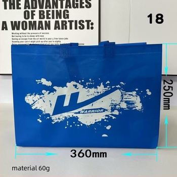 Sac de pantofi din material nețesut, pungă de ambalare portabilă, imprimare de înaltă definiție, design frumos și clar