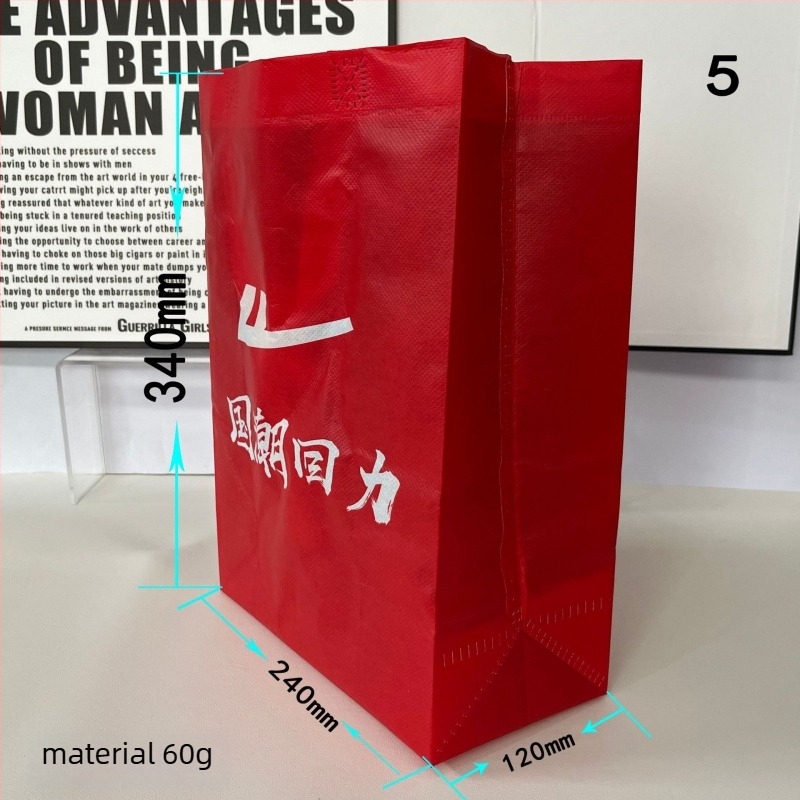 Sac de pantofi din material nețesut, pungă de ambalare portabilă, imprimare de înaltă definiție, design frumos și clar