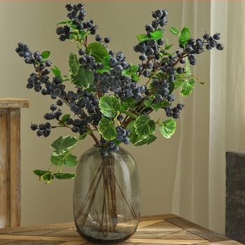 Afine artificiale, stil european proaspat pentru decor interior al livingului, ornament decorativ și recuzită pentru fotografie, flori de mătase, 62 cm
