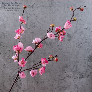 Ramură de prune cu flori artificiale din mătase – decor Zen, stil chinezesc pentru casă și birou