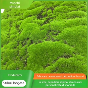 Mușchi artificial și gazon decorativ pentru amenajări, bonsai și micro-peisaje, vitrină