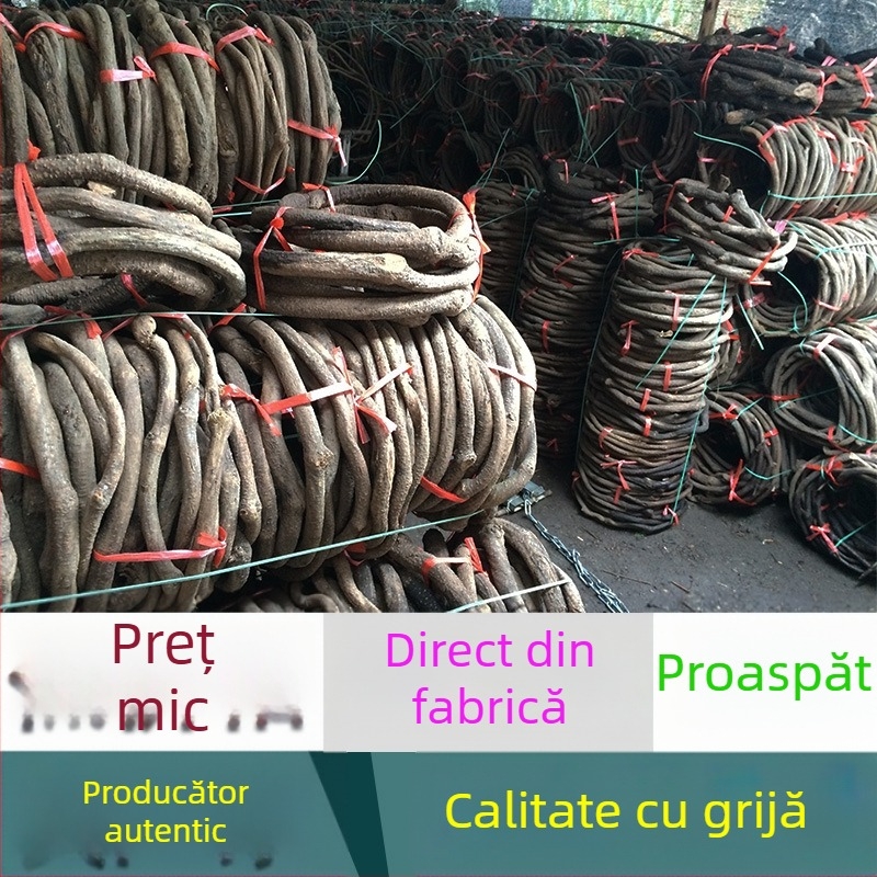Viță-de-vie artificială cu frunze de viță-de-vie și lăstari uscați, element decorativ