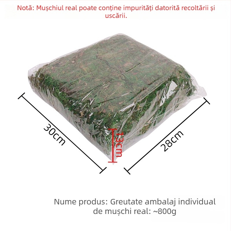 Mușchi artificial pentru vitrine, decor de plante în ghivece