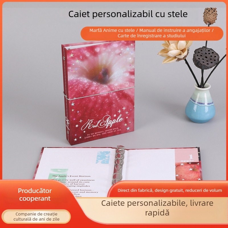 Album de carduri cu foițe, motif stele, spațiu de stocare transparent pentru carduri și poștale Polaroid