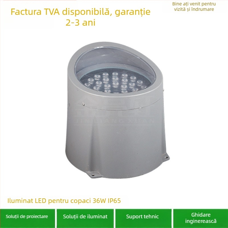 Kit Cree LED pentru iluminare de fațadă cu fascicul reglabil, husă exterioară (montaj pe suprafață sau îngropat)