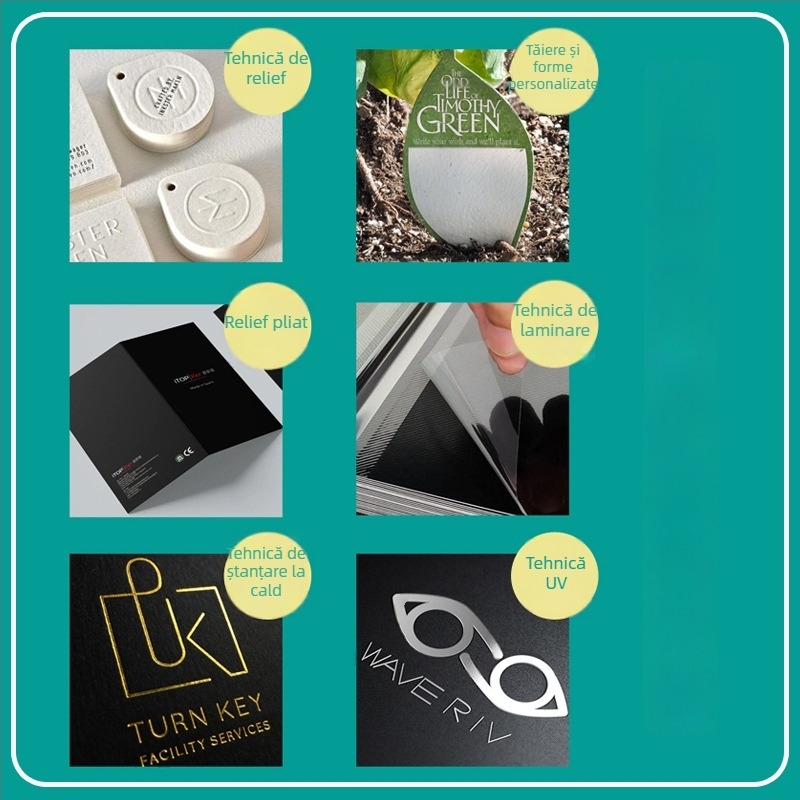 Serviciu de personalizare a cardurilor: carduri poștale, felicitări, invitații, plicuri, carduri pliabile în formă specială cu ștampilă aurie, imprimare carduri PVC