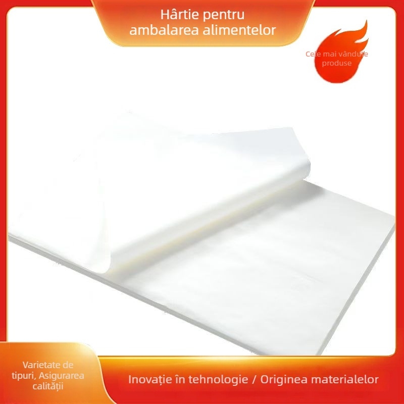 Hârtie de copt cu acoperire din silicon, dreptunghiulară, antiaderentă, pentru cuptor – pentru coacere de pește și carne