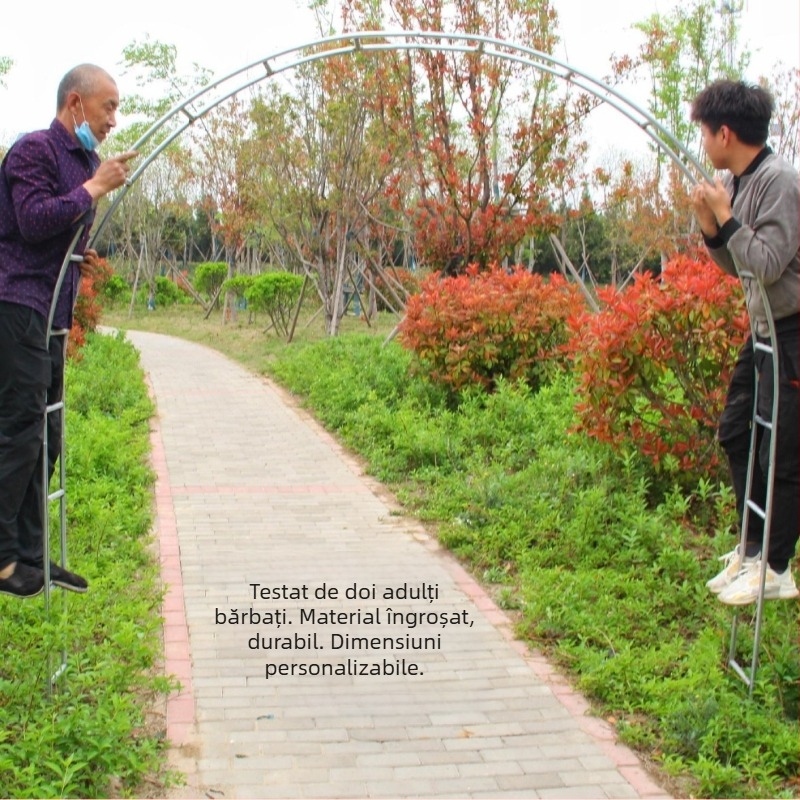 Arc din fier forjat pentru curte, viță de vie și trandafiri, cadru de cățărare pentru flori, suport pentru plante pe balcon