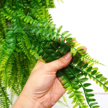 Ruixin Plante artificiale pentru perete, viță de iarbă persană, decor cu flori artificiale