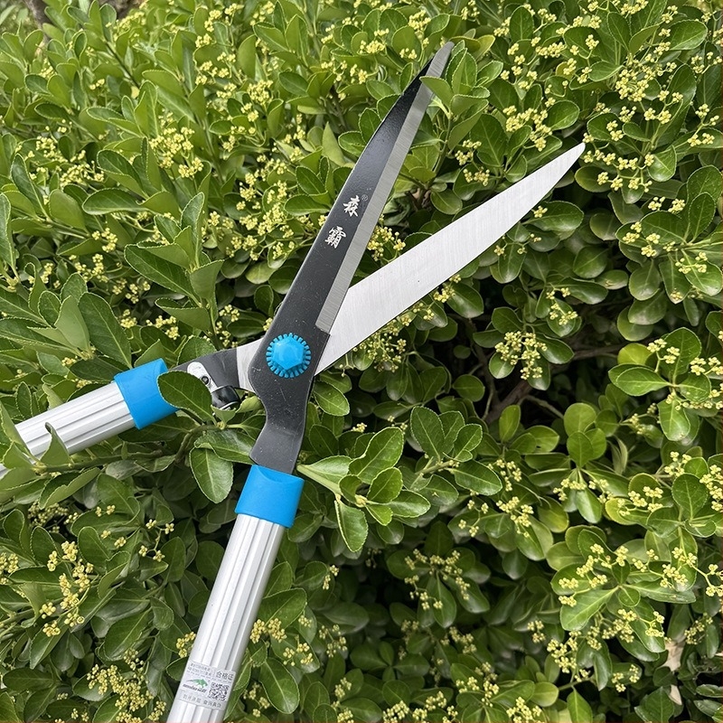 Foarfecă de grădină pentru bonsai și pomi fructiferi, foarfecă manuală pentru ramuri groase, lame ascuțite pentru tăiere