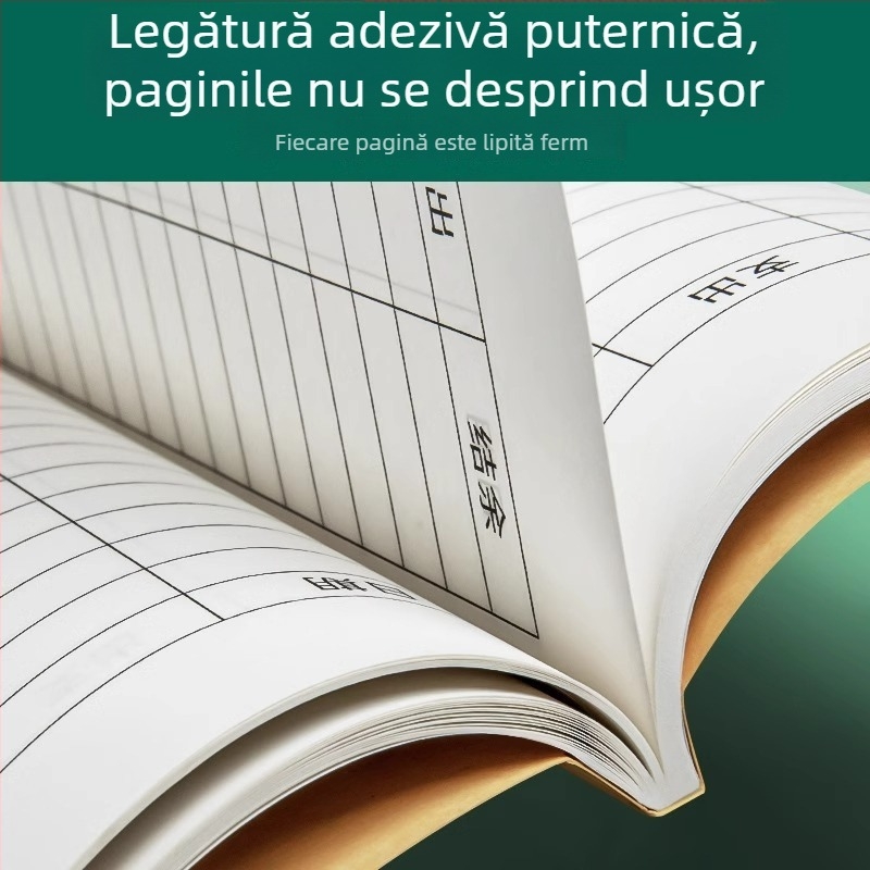 Jurnal zilnic pentru contabilitate în afaceri și uz casnic, registru de venituri și cheltuieli pentru salon de înfrumusețare.